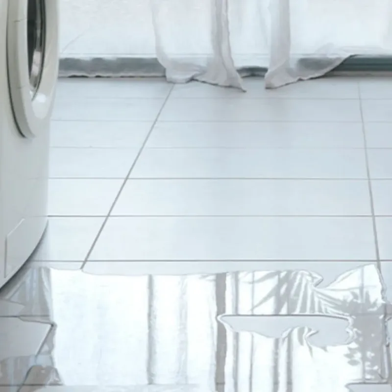Appliance Leak Cleanup in Warrenville, SC