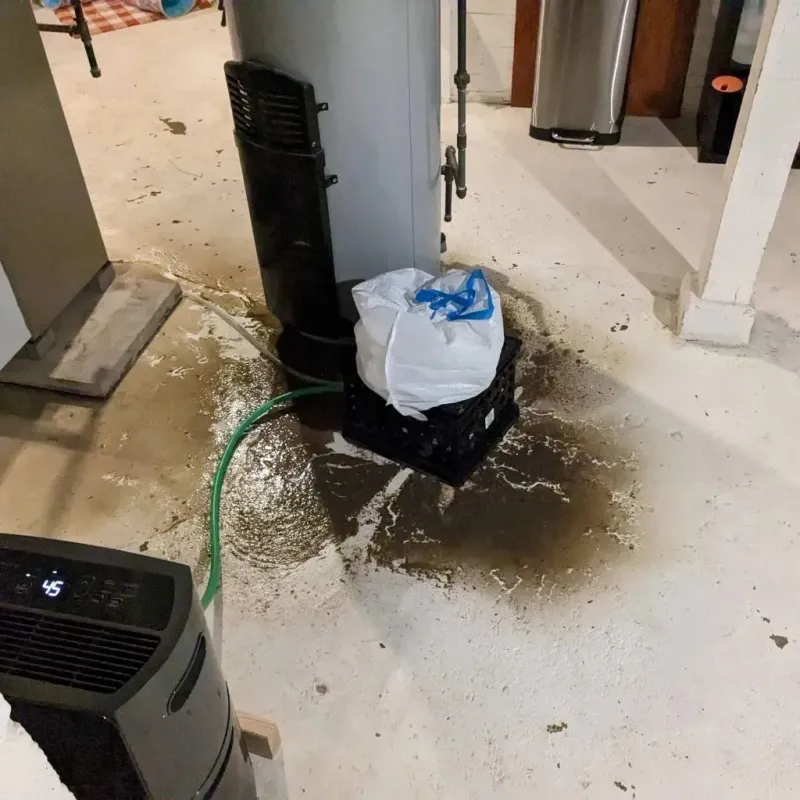 Sewage Backup Cleanup Service in Warrenville, SC